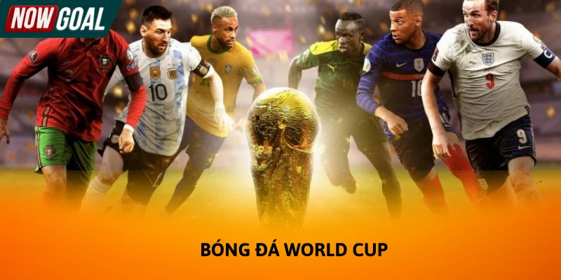 Bóng đá World Cup là thứ gia vị không thể thiếu