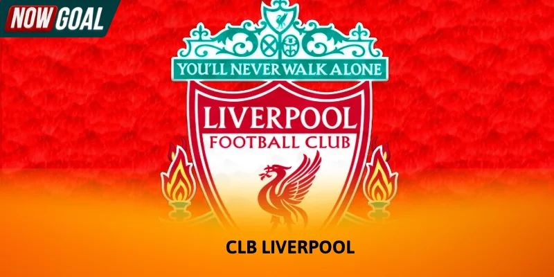 CLB Liverpool là đội bóng giàu truyền thống bậc nhất nước Anh