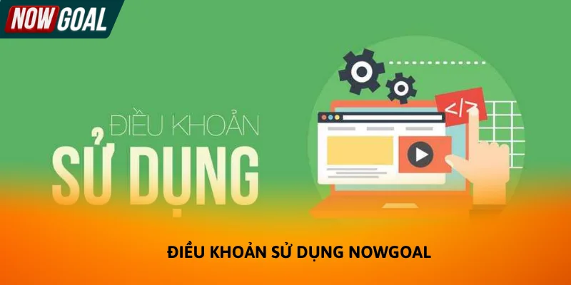 Điều khoản sử dụng được nhiều người dùng quan tâm