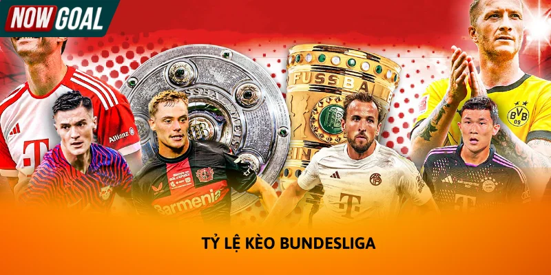 Tỷ lệ kèo Bundesliga có nhiều điểm đặc trưng